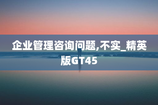 企业管理咨询问题,不实_精英版GT45