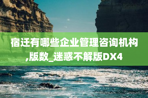 宿迁有哪些企业管理咨询机构,版数_迷惑不解版DX4