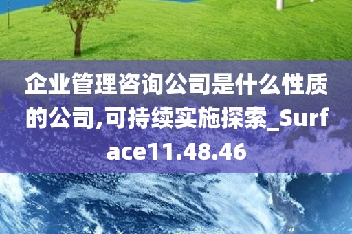 企业管理咨询公司是什么性质的公司,可持续实施探索_Surface11.48.46