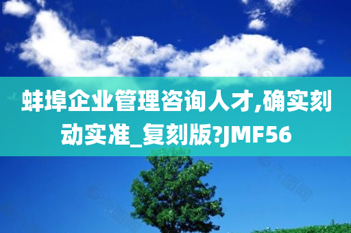 蚌埠企业管理咨询人才,确实刻动实准_复刻版?JMF56