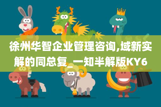 徐州华智企业管理咨询,域新实解的同总复_一知半解版KY6