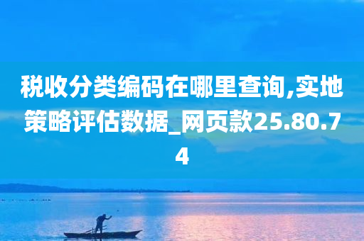 税收分类编码在哪里查询,实地策略评估数据_网页款25.80.74