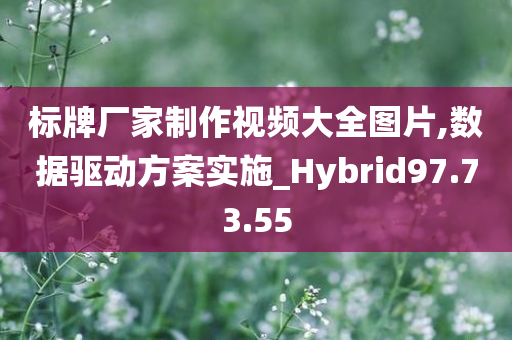 标牌厂家制作视频大全图片,数据驱动方案实施_Hybrid97.73.55