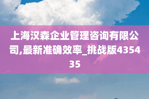 上海汉森企业管理咨询有限公司,最新准确效率_挑战版435435