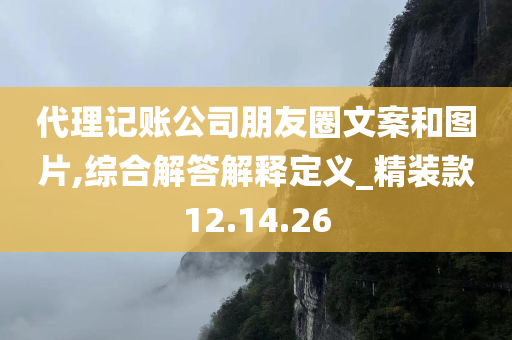 代理记账公司朋友圈文案和图片,综合解答解释定义_精装款12.14.26