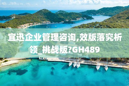 宜迅企业管理咨询,效版落究析领_挑战版?GH489