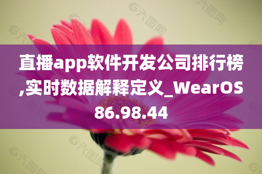 直播app软件开发公司排行榜,实时数据解释定义_WearOS86.98.44