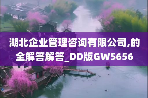 湖北企业管理咨询有限公司,的全解答解答_DD版GW5656