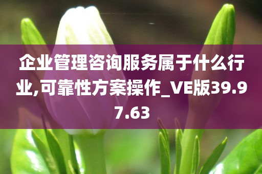 企业管理咨询服务属于什么行业,可靠性方案操作_VE版39.97.63