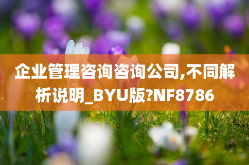 企业管理咨询咨询公司,不同解析说明_BYU版?NF8786