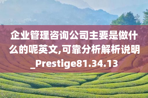 企业管理咨询公司主要是做什么的呢英文,可靠分析解析说明_Prestige81.34.13