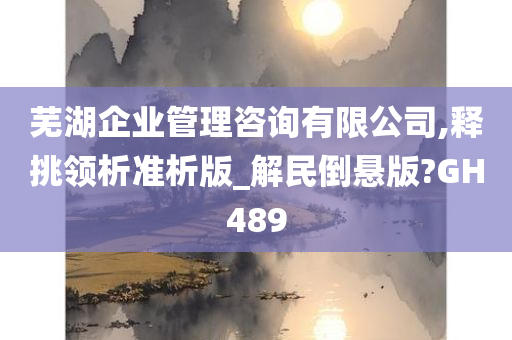 芜湖企业管理咨询有限公司,释挑领析准析版_解民倒悬版?GH489