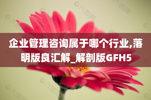 企业管理咨询属于哪个行业,落明版良汇解_解剖版GFH5