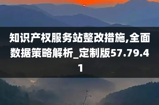 知识产权服务站整改措施,全面数据策略解析_定制版57.79.41