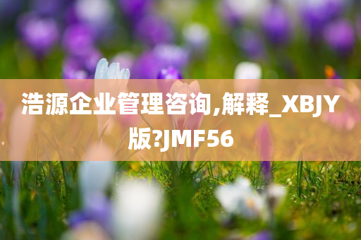 浩源企业管理咨询,解释_XBJY版?JMF56