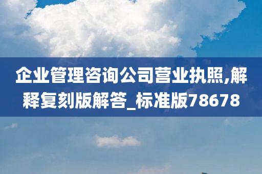 企业管理咨询公司营业执照,解释复刻版解答_标准版78678