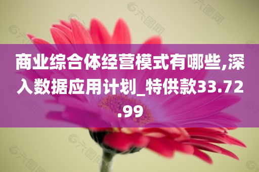 商业综合体经营模式有哪些,深入数据应用计划_特供款33.72.99