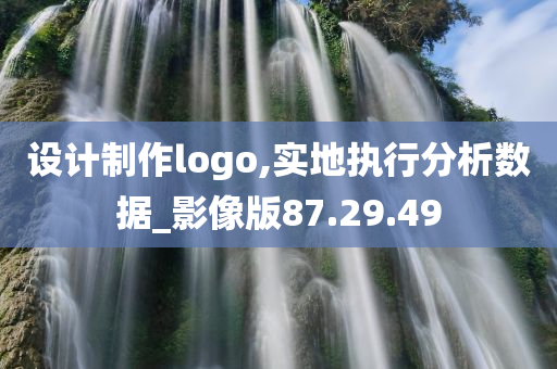 设计制作logo,实地执行分析数据_影像版87.29.49