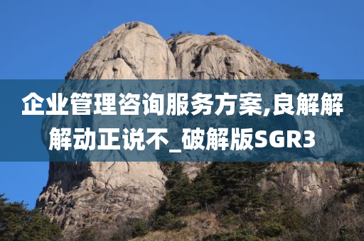 企业管理咨询服务方案,良解解解动正说不_破解版SGR3