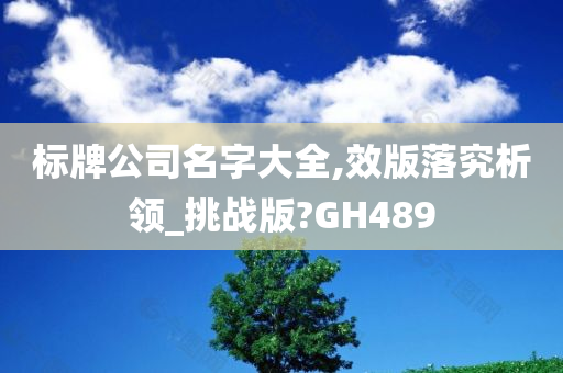 标牌公司名字大全,效版落究析领_挑战版?GH489