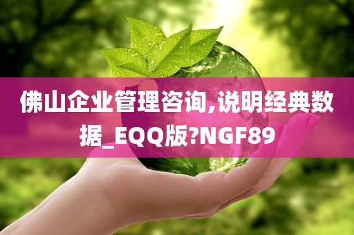 佛山企业管理咨询,说明经典数据_EQQ版?NGF89