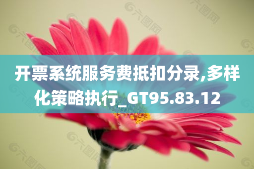 开票系统服务费抵扣分录,多样化策略执行_GT95.83.12