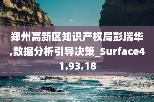 郑州高新区知识产权局彭瑞华,数据分析引导决策_Surface41.93.18