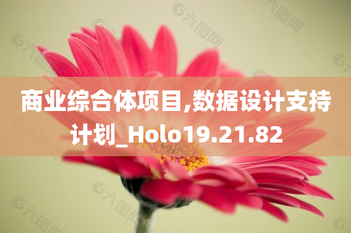 商业综合体项目,数据设计支持计划_Holo19.21.82