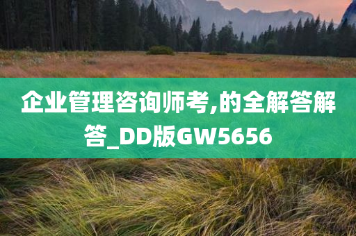 企业管理咨询师考,的全解答解答_DD版GW5656