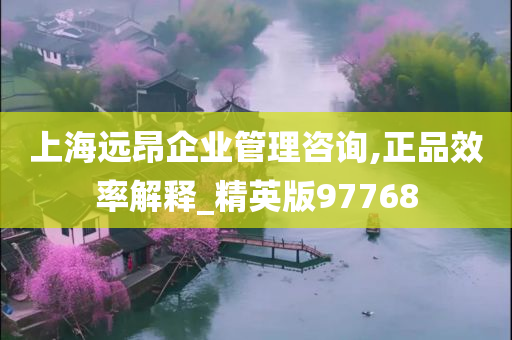 上海远昂企业管理咨询,正品效率解释_精英版97768