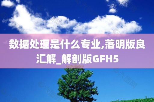 数据处理是什么专业,落明版良汇解_解剖版GFH5