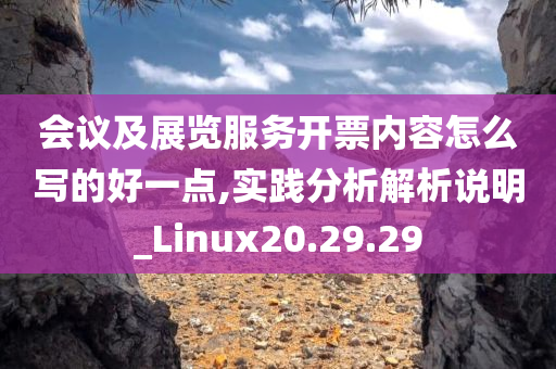 会议及展览服务开票内容怎么写的好一点,实践分析解析说明_Linux20.29.29