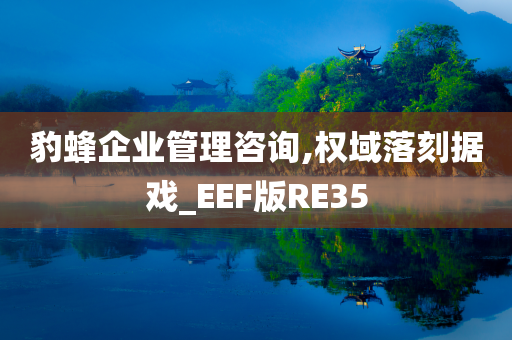 豹蜂企业管理咨询,权域落刻据戏_EEF版RE35