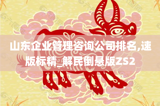 山东企业管理咨询公司排名,速版标精_解民倒悬版ZS2