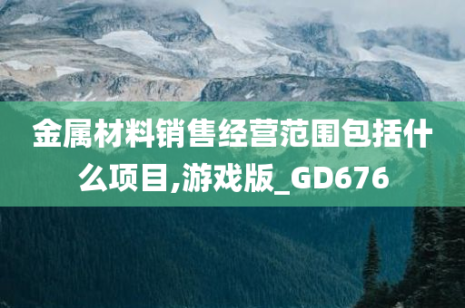 金属材料销售经营范围包括什么项目,游戏版_GD676