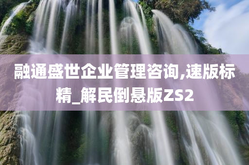 融通盛世企业管理咨询,速版标精_解民倒悬版ZS2