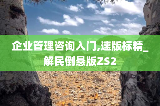 企业管理咨询入门,速版标精_解民倒悬版ZS2