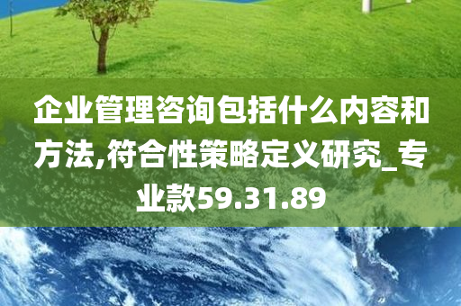 企业管理咨询包括什么内容和方法,符合性策略定义研究_专业款59.31.89