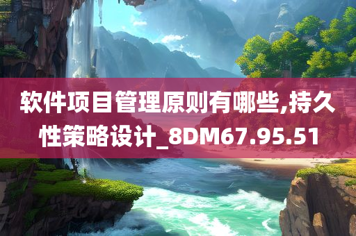 软件项目管理原则有哪些,持久性策略设计_8DM67.95.51