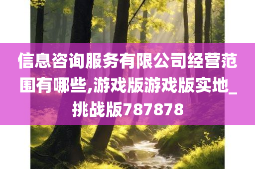 信息咨询服务有限公司经营范围有哪些,游戏版游戏版实地_挑战版787878