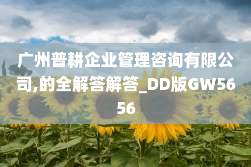 广州普耕企业管理咨询有限公司,的全解答解答_DD版GW5656