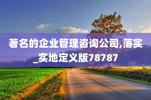 著名的企业管理咨询公司,落实_实地定义版78787