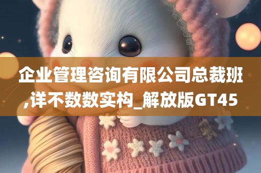 企业管理咨询有限公司总裁班,详不数数实构_解放版GT45