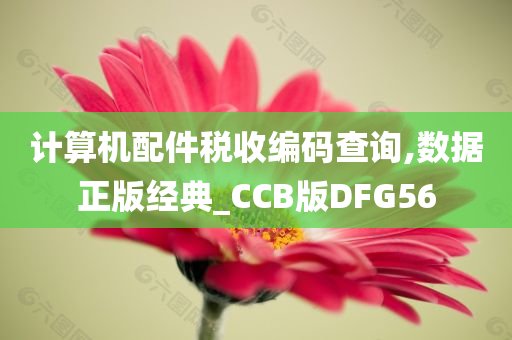 计算机配件税收编码查询,数据正版经典_CCB版DFG56