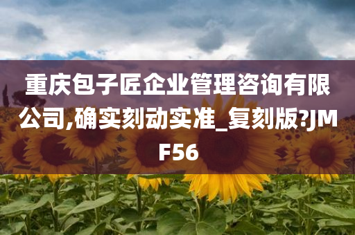 重庆包子匠企业管理咨询有限公司,确实刻动实准_复刻版?JMF56