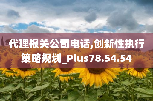 代理报关公司电话,创新性执行策略规划_Plus78.54.54