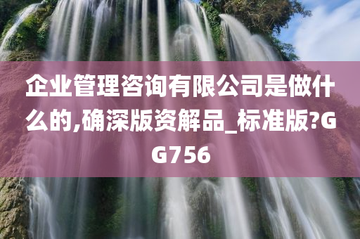 企业管理咨询有限公司是做什么的,确深版资解品_标准版?GG756