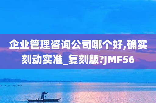 企业管理咨询公司哪个好,确实刻动实准_复刻版?JMF56