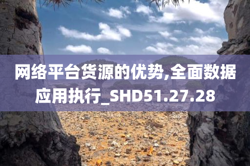 网络平台货源的优势,全面数据应用执行_SHD51.27.28