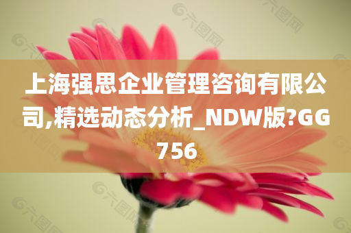 上海强思企业管理咨询有限公司,精选动态分析_NDW版?GG756